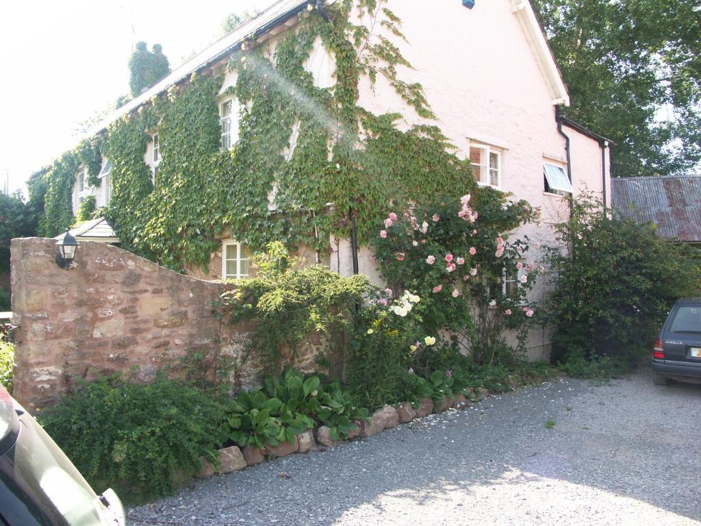 Catwell House Bed & Breakfast Williton Bagian luar foto