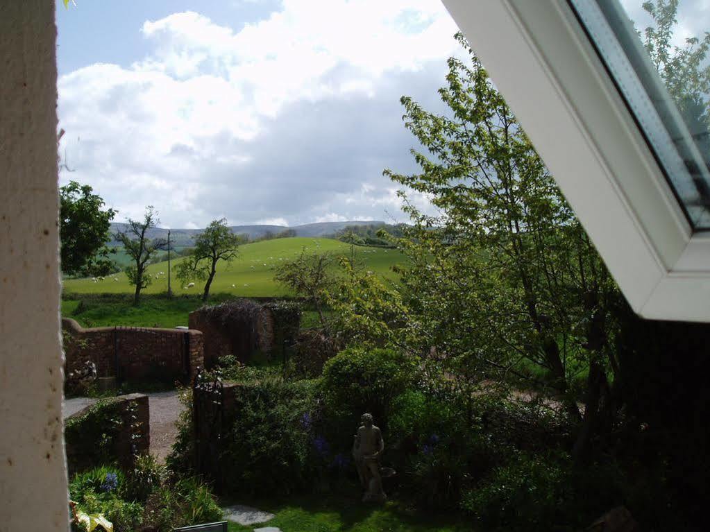 Catwell House Bed & Breakfast Williton Bagian luar foto
